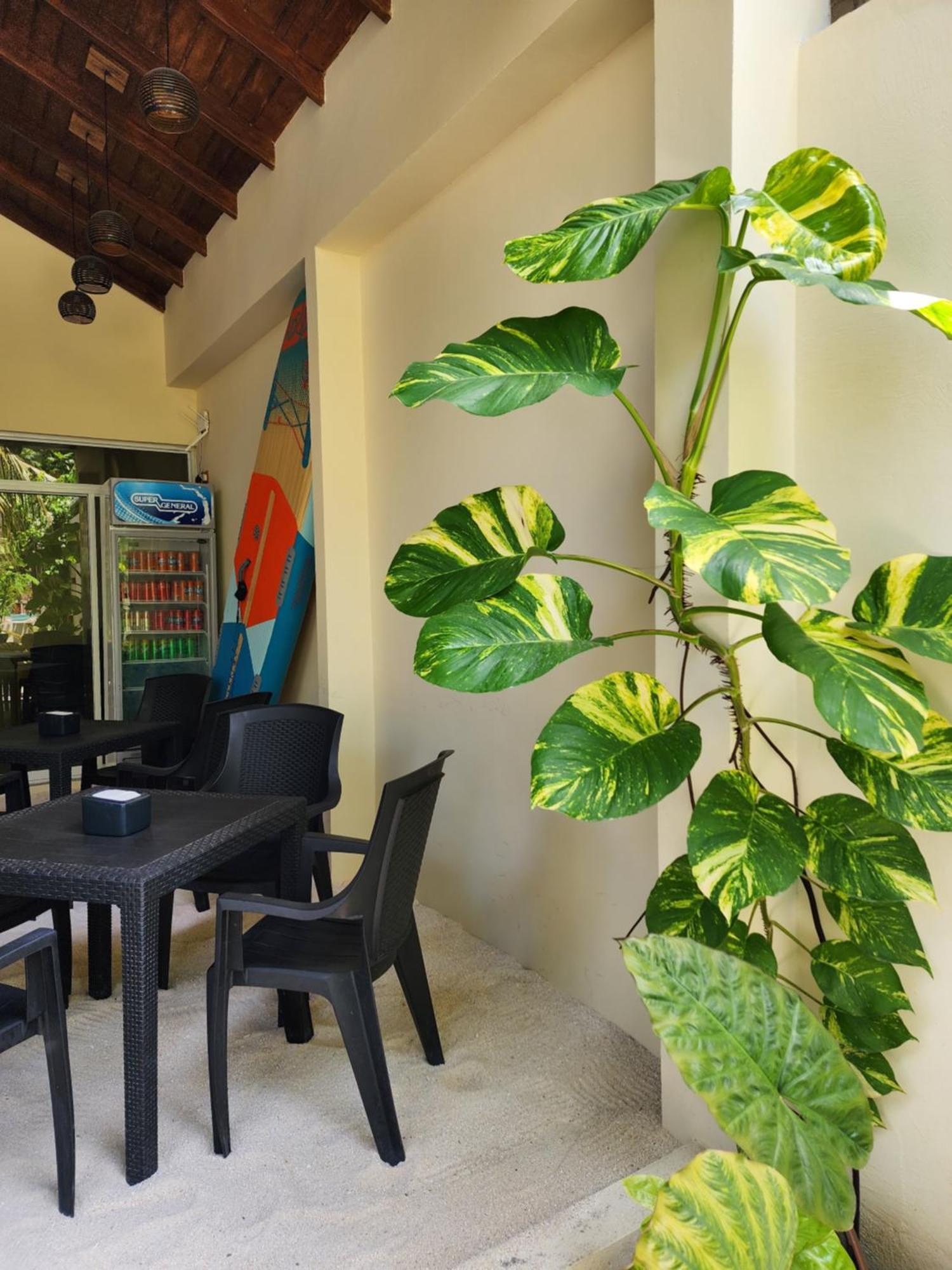 Dhigurah Dhonveli Boutique Hotel Luaran gambar